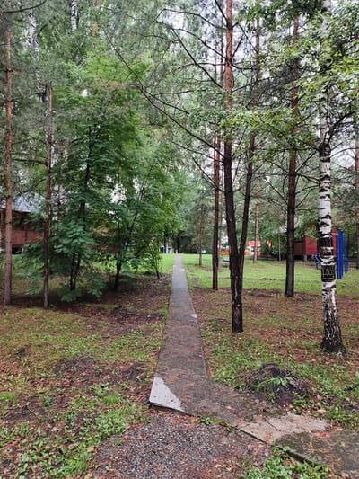 This is an eye-level, medium shot of a paved pathway in a wooded area. The pathway is cracked and surrounded by grass and fallen leaves. Tall pine trees and a birch tree line the path. In the background, there are wooden structures and what appears to be a children's playground with a blue structure and red slides. The overall scene suggests an outdoor recreation area in a natural setting, possibly within the city of Katun, Russia, given the context. The lighting is overcast, indicating a cloudy day. No people are visible in the image.