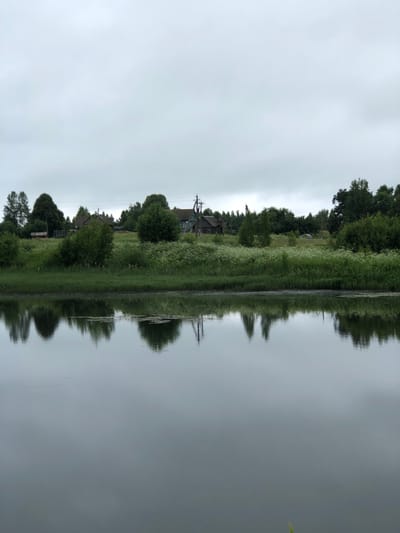 The image shows a tranquil, overcast day in a rural area, possibly near Zhukovo, Russia. A calm body of water occupies the foreground, its surface reflecting the muted tones of the sky and the lush green landscape on the opposite bank. The shore is lined with dense vegetation, including tall grasses and flowering plants, giving way to a cluster of trees and a few rustic wooden houses in the middle ground. Several utility poles with wires are visible amongst the buildings and trees. The reflection on the water is a mirror image of the scene above, creating a sense of symmetry and peacefulness. No people are present in the image.