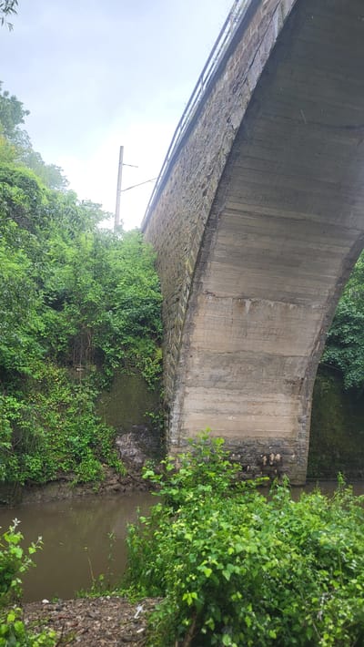 This image captures a railway bridge spanning a murky river in the city of Daskotna, Bulgaria, viewed from a low angle on the riverbank under an overcast sky. The bridge exhibits a large, arcing structure, with its visible side featuring a facade of dark, irregular stone blocks. A metal railing is partially visible along the top edge of the stone section. The underside of the arch is smooth concrete, displaying horizontal striations consistent with wooden formwork and evidence of water staining and weathering.

Dense, vibrant green vegetation, comprising trees, bushes, and intertwined vines, flanks both sides of the river, growing profusely up the bridge's abutments and extending into the foreground. The river below is characterized by dark, turbid brown water with minimal reflections. The riverbanks appear muddy and uneven. In the upper left background, above the tree line, a tall, slender utility pole with attached wires, indicative of an overhead electrification system, is visible against the light grey sky. No human activity or animate subjects are discernible in the scene.