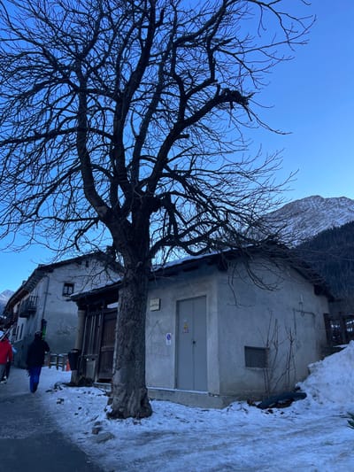 This vertical image captures a serene winter scene in an alpine village, likely Courmayeur, Italy. The prominent subject is a large, bare deciduous tree with intricate branches spreading across the left side and upper half of the frame, silhouetted against a brilliant, clear blue sky. Its thick, dark trunk anchors the lower left.

On the right, a multi-story building constructed from light-grey concrete or stone stands partially covered in snow at its base. The ground floor features a large, grey metal double door with a small, rectangular window above it to the right. Affixed to the door and the wall beside it are several small signs: a yellow warning sticker (possibly electrical), a blue circular sign with a red diagonal line (indicating no parking or stopping), and two small white rectangular signs with illegible black text. Another building is partially visible behind and to the left of the main structure.

The ground on the right side of the image is covered in a substantial layer of snow, forming a high bank along what appears to be a path or street. In the lower right background, two figures are visible, partially obscured by the tree and building. They are dressed in winter attire, and one appears to be carrying skis over their shoulder, suggesting winter sports activity. A snow-capped mountain peak is discernable in the upper right corner, under the bright daytime sky. The overall impression is one of a crisp, sunny winter day in a mountainous setting.