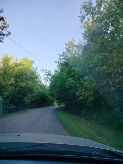 The image depicts a road winding through a dense forest. The road is paved with asphalt and appears to be a rural or suburban street. Lush green trees line both sides of the road, creating a canopy overhead in some areas. The sky is a clear blue, suggesting a sunny day. The perspective is from inside a vehicle, looking forward through a windshield, indicated by the presence of the hood and windshield wipers in the foreground. There are no people visible in the scene. The overall impression is one of a tranquil drive through a natural landscape. The location is identified as the city of Prokhozhe, Russia.