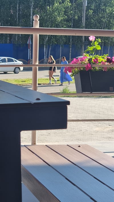 The image captures a street scene in Megion, Russia, on a sunny day. In the foreground, a dark-colored picnic table is partially visible, with its textured surface casting a shadow. Behind the table, a beige railing runs horizontally across the frame. Beyond the railing, two women are walking on a paved sidewalk. The woman on the left is wearing a black dress and white sneakers, while the woman on the right is wearing a bright blue dress. A white car is parked on the side of the road. In the background, a line of birch trees with green foliage forms a natural backdrop. A blue fence is visible behind the trees. A planter box filled with vibrant pink and purple flowers adds a touch of color to the scene. The ground appears to be paved with light-colored cobblestones. The overall impression is of a casual, outdoor setting, possibly a park or a public area, in a city during daytime.