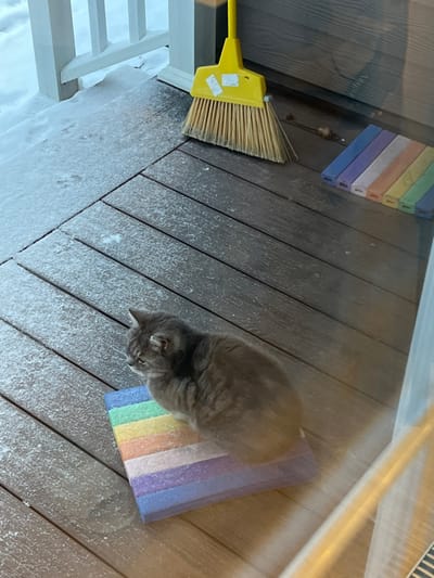 The scene depicts an outdoor porch or deck area in Finskiy Briz, Russia, partially covered with a light dusting of snow. The surface is composed of horizontal brown wooden decking planks. A grey, short-haired domestic cat is seated on a rainbow-striped rectangular mat, facing left. In the upper right section, a yellow-handled broom with natural fiber bristles leans against a vertical surface, displaying two white labels on its handle. To the right of the broom, a linear arrangement of six rectangular, multi-colored foam blocks (purple, blue, light blue, green, yellow, orange, red) rests on the decking. A white wooden railing is visible in the upper left background, beyond which accumulated snow is present. The image is captured through a reflective glass barrier.