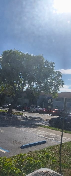 This image depicts a daytime outdoor scene in Cutler Bay, United States of America, captured from a slightly elevated vantage point. The upper half of the frame shows a bright blue sky with scattered, wispy white clouds; a strong solar glare is evident in the upper right quadrant. A large, mature tree with dense green foliage occupies the left-center, extending into the upper-center of the image. Below the tree and extending across the mid-ground is an asphalt surface, identified as a parking lot or access road, which features faded white painted parking lines. A single blue, elongated parking stop bumper is visible in the lower-center of this asphalt area.
Multiple vehicles are present on the asphalt. A white SUV or truck is parked in the mid-ground to the left of center, oriented towards the left. Several red vehicles, appearing to be cars or trucks, are parked behind the white SUV and further to the right. Darker-colored vehicles are partially visible on the far right edge of the parking area.
In the background, behind the vehicles and the tree, are multi-story buildings with light-colored facades, consistent with residential or commercial structures. The foreground, along the bottom edge of the image, displays green ground cover and the top portion of a textured, possibly metallic or gridded, object. No individuals, specific actions, or interactions are discernible within the scene.