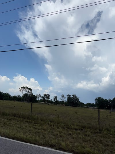 This is a photograph taken from a road in Parrish, Florida, United States. The image shows a rural landscape with a field, trees, and a cloudy sky. In the foreground, there is a patch of dry grass and a portion of a road. In the mid-ground, there is a large, open field with several cows grazing. A wooden fence post is visible in the field. In the background, there is a line of trees. The sky is filled with dramatic clouds, with patches of blue sky visible. The overall impression is one of a typical rural scene on a cloudy day.