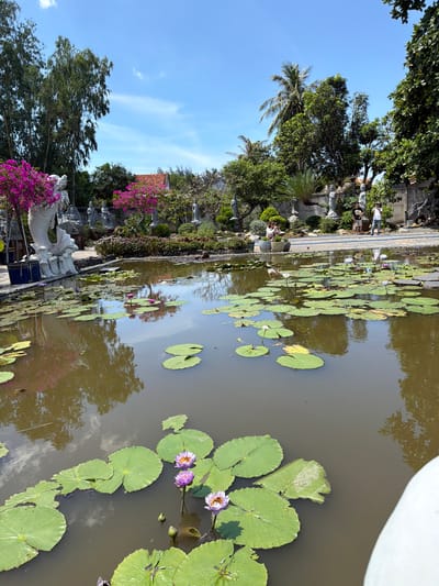 A tranquil pond filled with lily pads and blooming lotus flowers is the central focus of this image. The pond is surrounded by lush greenery, statues, and trees, suggesting a garden or temple setting. In the background, several statues, some appearing to be Buddhist figures, are visible, as are vibrant pink bougainvillea bushes. Two individuals are standing on a paved walkway to the right, one of whom is taking a photograph. The sky above is a clear blue with scattered white clouds. This scene is located in the city of Hòa Đa, Vietnam.