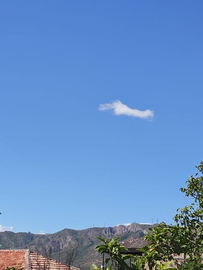 A vast, clear blue sky dominates the upper portion of the image, with a single, wispy white cloud positioned slightly off-center to the right. Below the sky, a range of rugged, green mountains stretches across the horizon. These mountains appear arid and covered in sparse vegetation, with some rocky outcrops and ridges visible.
In the foreground, the scene transitions to a residential area. The roof of a building, covered with orange-red tiles, is prominently displayed on the left side. To the right of the tiled roof, a building with a gray, corrugated roof is partially visible. Several trees with green foliage are scattered throughout the foreground, some appearing dense and leafy, while others are bare branches. A stone wall can also be seen behind the foliage. The overall impression is a view from a slightly elevated position, looking out over a village nestled against a mountainous backdrop under a bright, sunny sky. The image appears to be taken in Dzegvi, Georgia, given the distinctive mountainous landscape and architectural elements.