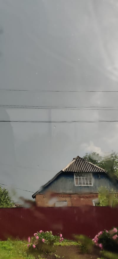 The image depicts a view from a window, likely in Shelestove, Ukraine, showing a rural or suburban scene. The sky is overcast and gray. Three parallel dark power lines are visible in the upper portion of the image. Below the power lines, the upper part of a two-story building is visible. The upper story has a steeply pitched roof covered with corrugated metal sheeting. A window with multiple panes is set into the gabled end of this story. The wall of the upper story is painted blue. The lower story of the building appears to be constructed of brick, with a lighter colored surface treatment. There is a closed window or door on this level. A dark red wooden fence runs horizontally across the middle ground of the image, partially obscuring the view of the building. In front of the fence, there is a garden with green grass and several bushes with pink flowers. Some of the flowers appear to be peonies. The foreground is blurred, suggesting it is close to the camera lens, possibly indicating the presence of water droplets on the window pane.