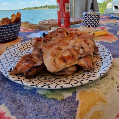 A close-up, outdoor, eye-level shot shows a plate of grilled chicken thighs on a patterned tablecloth next to a lake. The chicken is golden brown with grill marks and appears to be seasoned. The plate has a white background with a black honeycomb pattern and blue accents. In the background, the blue water of the lake stretches out, with a tree line and buildings visible on the distant shore under a partly cloudy sky. To the left of the plate, a dark blue bowl filled with what appears to be french fries or fried chicken pieces is visible. A red can, possibly of soda, and a wooden cutting board are also present on the table, as is a small, decorative ashtray with a black and white geometric pattern. A yellow utensil, likely a knife, rests near the plate of chicken. The scene suggests a casual meal enjoyed outdoors, possibly at a picnic or by the water. The overall impression is one of a relaxed, summer gathering.