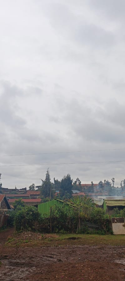 A landscape with muddy terrain in the foreground beneath an overcast sky. Small houses with red roofs and some with green roofing and siding dot the scene, interspersed with greenery and taller trees. Telephone wires stretch across the upper portion of the image. Smoke rises from one of the houses into the cloudy sky.