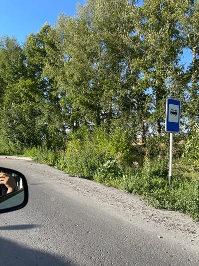 The image captures a roadside scene on a sunny day. A paved road curves to the left, with a dense line of green trees and foliage bordering its right side. A blue and white bus stop sign stands prominently on a metal pole amidst the greenery. In the foreground, the reflection of a person's hand is visible in the car's side mirror, indicating the perspective is from inside a vehicle. The sky is a clear, bright blue. The environment suggests a rural or semi-rural setting, possibly on the outskirts of Praporştşikovo, Kazakhstan.