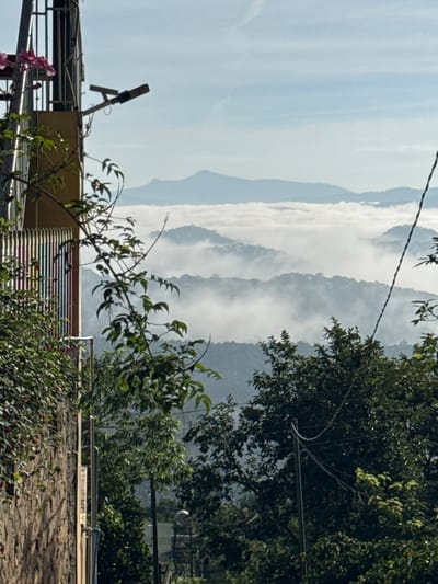 The image shows a mountainous landscape with a thick layer of fog covering the valleys, creating a serene and misty atmosphere. In the foreground, there's a glimpse of a building with a yellow facade and a metal railing, partially obscured by lush green foliage and a flowering vine with pink blossoms. A street lamp is mounted on the structure. The background features rolling hills and distant mountains emerging from the fog, with a clear blue sky overhead. The scene appears to be captured from an elevated vantage point, likely in a residential or semi-rural area of Đa Thọ, Vietnam, known for its misty highlands. There are no people or animals visible in the image.
