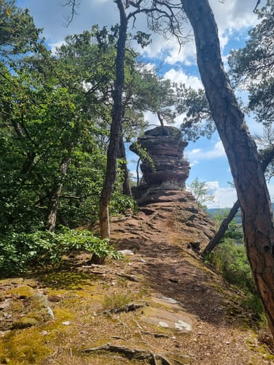 A low-angle, full shot captures a natural landscape with a prominent rock formation on a sunny day. The scene is located in the vicinity of Dahn, Germany, specifically within the forest surroundings of the region known for its sandstone rock formations.
In the foreground, a winding dirt path leads uphill, bordered by lush green foliage and moss-covered rocks. Large tree trunks, primarily pine, with rough, textured bark, frame the path and the central rock formation. The trees are dense, with some branches extending into the frame, casting shadows on the path and the ground. The ground is covered with fallen pine needles, dry leaves, and patches of vibrant green moss.
The focal point of the image is a striking, layered rock formation, appearing like a stack of weathered, red-brown sandstone blocks. The rock is irregularly shaped, with distinct horizontal and diagonal striations indicating its geological history. It rises from the top of a hill, with smaller rocks and dirt surrounding its base. The rock formation is partially obscured by tree branches, suggesting it is an integral part of the forested environment.
In the background, the sky is a bright blue, dotted with fluffy white clouds. Through the trees and gaps in the foliage, a distant landscape of rolling hills and green valleys can be seen, suggesting the location is at an elevation within a hilly or mountainous region. The overall impression is one of a serene, natural environment, a hiking trail through a scenic forest.