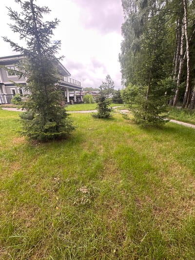 This media file depicts an outdoor scene with a focus on a residential property surrounded by lush greenery and trees. The primary subjects are a modern house with a dark grey facade and white window frames, featuring a prominent deck or balcony area with a slatted roof. Several coniferous trees, some appearing to be young fir trees, are scattered across the property, with one particularly large one in the foreground. A paved pathway, possibly made of light-colored stones or concrete, meanders through the grassy area, leading towards the house and further into the landscape. The lawn is a dominant element, appearing well-maintained and a vibrant green, though some patches of dry grass are visible.

The scene is set in a natural, possibly suburban or rural environment, given the presence of mature trees and the overall spacious feel. The sky is overcast, suggesting a cloudy or possibly drizzly day, with muted lighting. The time of day is indeterminate due to the lack of strong shadows or direct sunlight. The overall impression is one of a peaceful, domestic setting in a green, natural landscape.

There is no visible text in the image. The media file does not depict any people or indicate any specific activity or event taking place, other than the general presentation of a residential property. The location cues are limited to the architectural style and the type of vegetation, which are consistent with a temperate climate.