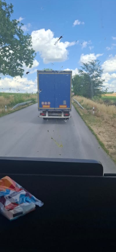 The image depicts a view from inside a vehicle, looking out through a dirty windshield. The primary subject is a large blue truck with a trailer, seen from the rear, driving on an asphalt road. The truck has yellow and red reflective markings on its rear. The road is bordered by dry grass and some vegetation, and trees are visible in the background under a bright blue sky with scattered white clouds. There are several insect splatters on the windshield, some of which are dark and elongated, while others are yellowish and appear smeared. A portion of a packet of colorful tissues is visible in the lower left corner of the image, resting on a dark surface inside the vehicle. The scene suggests a daytime journey on a rural road in Ovcha Mogila, Bulgaria.