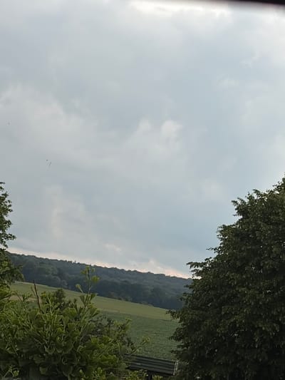 The image captures a natural landscape scene, likely on the outskirts of Göttingen, Germany, characterized by rolling hills and dense foliage under a cloudy sky. In the foreground, lush green bushes and trees dominate the lower left and right portions of the frame. The foliage appears healthy and vibrant, suggesting a temperate climate.

The middle ground reveals a vast expanse of green fields, possibly agricultural land, stretching towards a tree-covered hillside in the background. The hills are densely forested, creating a textured, undulating horizon. The sky is overcast with a pale grey hue, indicating a day with diffused light. Several small, dark specks are visible in the sky, which could be birds or insects in flight.

The overall impression is one of a serene, natural environment, potentially a park or rural area near Göttingen. The lack of human presence or man-made structures, apart from a dark, horizontal element possibly a fence or bench at the very bottom edge of the image, emphasizes the natural setting. The lighting is soft and even, characteristic of an overcast day, with no harsh shadows. The image appears to be taken from a slightly elevated position, looking out over the landscape.