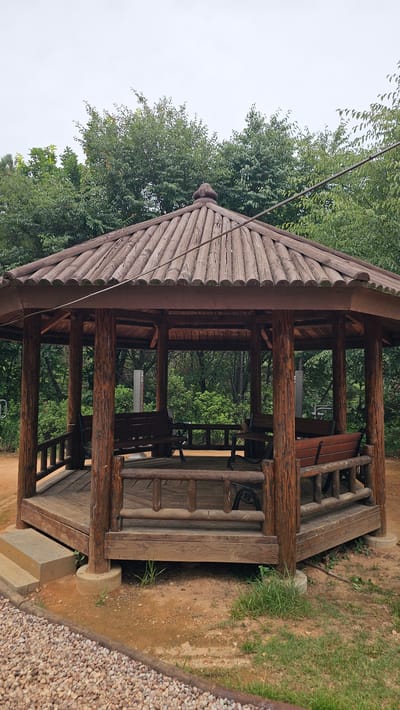 This is a medium shot of an octagonal wooden gazebo located in a park in Asan-si, South Korea. The gazebo has a multi-tiered wooden roof with a rounded finial at the peak. The walls are open, supported by thick wooden posts, and feature wooden benches along the perimeter. The floor of the gazebo is also made of wood. In front of the gazebo, there are stone steps leading up to it, and the ground is a mix of dirt, gravel, and grass. The background is filled with lush green trees. The sky is overcast. There are no people or animals visible in the image.