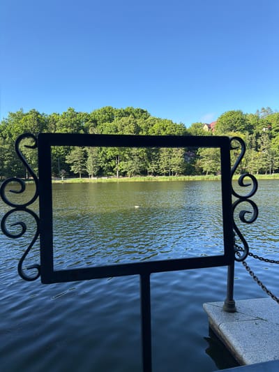The image captures a serene lake scene in Svetlogorsk, Russia, bathed in the bright light of a clear day. The foreground is dominated by a decorative, black wrought-iron frame, possibly part of a signpost or a decorative element. This frame encloses a view of the lake, with its surface rippling under the sun.
Beyond the frame, the lake stretches out, its water reflecting the lush green of the surrounding trees and the bright blue of the sky. A solitary bird, possibly a duck or a goose, is visible in the distance on the water, adding a touch of life to the tranquil setting. The far bank of the lake is lined with a dense band of mature trees, their foliage a vibrant green. In the background, nestled amongst the trees, are glimpses of residential buildings with reddish-brown roofs, suggesting a settled area near the water.
To the right of the frame, a stone structure, likely a dock or a part of the lakeside infrastructure, is visible. A thick metal chain is attached to this structure, disappearing into the water, hinting at a mooring or a barrier. The overall atmosphere is peaceful and idyllic, evoking a sense of calm summer weather. The clear blue sky indicates daytime, likely mid-morning or afternoon, with no clouds present. There is no visible text in the image.