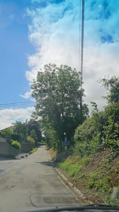 The image captures a serene, sunlit view of a winding road in a rural or suburban setting, identified as Walcourt, Belgium. The perspective is looking down a paved, grey road that gently curves to the left. On the right side, a steep embankment is densely covered with green foliage, featuring various bushes and smaller plants.

A large, mature tree with a full, green canopy stands prominently on the left side of the road, its branches extending across the scene. Overhead, three dark power lines stretch horizontally across the sky. The sky itself is partly cloudy, transitioning from a vibrant blue with white clouds on the left to a lighter, hazier white on the right, suggesting bright daytime conditions, likely mid-morning or afternoon. Sunlight creates distinct shadows on the road surface.

Two blue directional road signs with white text are visible on the left side of the road, partially obscured by the tree's foliage. The top sign clearly reads "Daussois-Mignault," and the bottom sign indicates "Fontenelle" with the number "6" below it, likely signifying a distance or route. Further along the left side, there are more green hedges and a glimpse of what appears to be a stone wall or part of a building. No people or vehicles are present, lending a quiet and peaceful atmosphere to the scene.