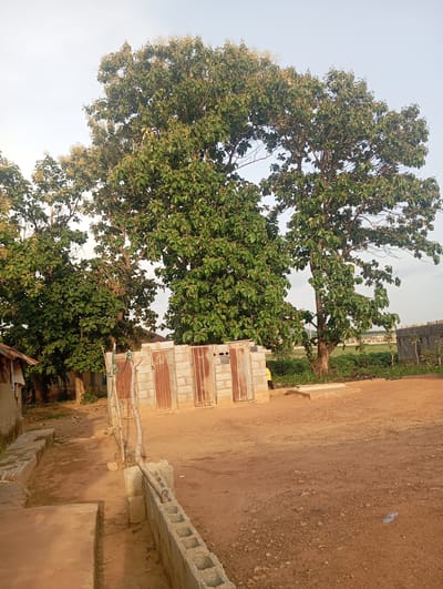The image depicts an outdoor scene in Karsana 2, Nigeria. In the foreground, a dirt path leads to a small building constructed with cinder blocks and corrugated metal doors. To the left of this structure, part of another building with a tin roof is visible. The path is bordered by a low wall made of concrete blocks. Dominating the background are several large trees with dense green foliage. Beyond the trees, a grassy field stretches towards a distant line of low-rise buildings under a pale sky. A single, thin wooden pole stands near the cinder block building, with a rope loosely attached. No people are clearly visible in the frame.