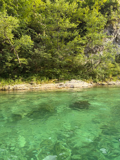 The image shows a view of a clear, green river flowing alongside a rocky bank covered in lush vegetation. The scene is captured from a high angle, looking down onto the water and the adjacent landscape.
On the left side of the image, a steep, rocky cliff face is partially obscured by dense green foliage, including trees and smaller bushes. Some of the branches from these trees extend out over the water. The rocks appear rough and textured, with patches of moss or lichen growing on them. The foliage is vibrant and healthy, suggesting a warm, sunny day.
The right side of the image is dominated by the river. The water is a striking emerald green, and its surface is rippled, indicating a gentle current. The transparency of the water allows glimpses of the riverbed beneath, where rocks and possibly submerged vegetation are visible. Sunlight glints off the water, creating bright highlights and adding to the overall vibrant appearance of the scene.
The boundary between the land and the water is clearly defined by the rocky bank, which is a mix of light-colored stones and darker soil, with some patches of grass and smaller plants growing along its edge.
The overall impression is one of a serene and natural landscape, likely a remote or wilderness area. The time of day appears to be daytime, with ample sunlight illuminating the scene, and the weather seems fair. The location context provided is Polje Bijela, Bosnia and Herzegovina, which suggests a scenic river environment. There is no visible text in the image.