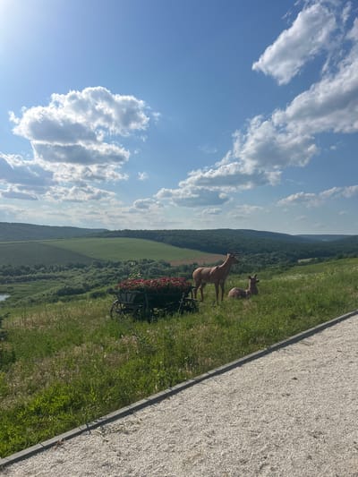 The image depicts a scenic overlook in Ulmu, Moldova, featuring a vast landscape of rolling green hills under a bright blue sky dotted with fluffy white clouds. In the foreground, a gravel pathway runs diagonally across the lower right of the frame. To the left of the pathway, on a grassy slope, are two deer sculptures. One deer stands erect with antlers, while the other lies down. A rustic wooden cart, filled with red flowers, is positioned in the grassy area to the left of the deer sculptures. The middle ground reveals lush green fields and dense forests that extend into the distance, forming a layered panorama of natural beauty. The overall scene is tranquil and picturesque, showcasing the natural splendor of the Moldovan countryside.