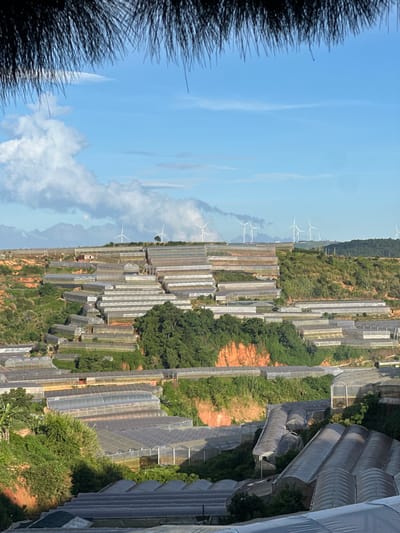 This image depicts a vast agricultural landscape in Đa Quý, Vietnam, characterized by numerous greenhouses and wind turbines. The scene is an aerial view, taken from a high vantage point, looking down on rows of elongated greenhouses covered with translucent material, likely for crop cultivation. Some greenhouses have a rounded, tunnel-like structure, while others are more rectangular. They are interspersed with green vegetation and patches of reddish-brown soil, suggesting a rural or mountainous terrain.
In the background, several white wind turbines with their blades visible are strategically placed on a hillside, indicating a focus on renewable energy in the region. The sky is partly cloudy with a bright blue expanse, and the lighting suggests it is daytime, likely late morning or early afternoon given the strong sunlight casting shadows. The overall impression is one of a modern, organized agricultural operation integrated with sustainable energy infrastructure. No people are clearly visible in the image, and there is no visible text. The atmosphere conveyed is one of industriousness and connection to nature.