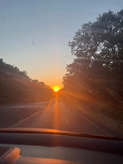 The media file depicts a sunset viewed from inside a vehicle, likely a car, as suggested by the interior visible on the right side of the frame. The sun is the central subject, positioned low on the horizon and emitting strong rays of orange light that create a lens flare effect. The sun is partially obscured by the silhouette of trees and foliage, which frame the scene from the left and bottom. The sky transitions from a pale blue at the top to a warmer orange hue closer to the sun.

A road is visible beneath the sunset, with lane markings suggesting it is a highway or a main road. Two vehicles, possibly cars, are driving on the road, illuminated by the setting sun. The overall atmosphere is serene and visually striking due to the vibrant colors of the sunset. The time of day is clearly sunset. There are no visible people. The weather appears to be clear, allowing for an unobstructed view of the sunset. The location context provided is Goritsa, Bulgaria. No text is visible in the media file.