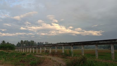 The image depicts a long, concrete structure resembling an aqueduct or elevated walkway, supported by evenly spaced columns. It runs horizontally across the frame, dividing the foreground vegetation from a field beyond.

The foreground is characterized by a mix of green and brown vegetation, indicating a rural or undeveloped area. A dirt path is visible leading towards the structure.

Beyond the structure, there is a field, partly green and partly brownish-red. Further in the background, a line of trees, including palm trees, is visible, creating a horizon line.

The sky is overcast with a mix of grey and white clouds, suggesting either early morning or late afternoon light. The light appears soft and diffused. The overall scene conveys a sense of rural landscape and possibly an infrastructure project. The location is Blangtingkeum, Indonesia.