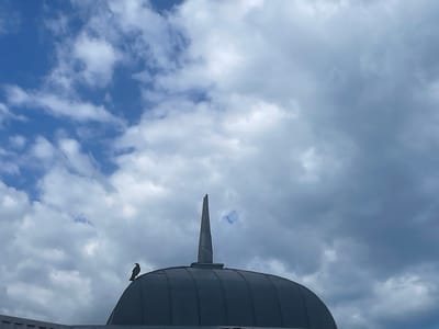 A dark bird is perched on the edge of a dark, domed roof structure. The dome has a pointed spire in the center. The sky behind is filled with dramatic clouds, a mix of dark grey and bright white against a bright blue sky. The scene appears to be outdoors. The time of day is likely daytime, given the brightness of the sky and clouds. The weather appears to be mixed, with both sunny and cloudy conditions. The location is identified as Livadiyskyi settlement council, Ukraine. There is no visible text in the image. The overall mood is somewhat stark, with the dark bird and dome silhouetted against the dynamic sky.