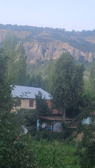 The image depicts a view of Arstanbap, Kyrgyzstan, featuring a village nestled at the base of a mountain range. In the foreground, lush green foliage, including corn stalks and fruit-laden branches, obscures parts of a residential area. Two houses are partially visible; one is a two-story brick structure with a gray metal roof, and the other appears to be a smaller building with a rusted corrugated metal roof and blue siding. The background is dominated by the imposing, rocky slopes of the mountains, with trees scattered across their lower inclines. The sky is a pale, hazy blue, suggesting it may be early morning or late afternoon. No people are visible in the frame.