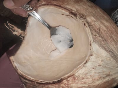 A halved coconut is held open, exposing its white flesh. A silver spoon scoops out some of the coconut meat. The outside of the coconut is brown and fibrous. A hand holds the spoon.