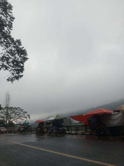 The image captures a roadside scene on an overcast day, likely in a mountainous or hilly region, with a damp atmosphere suggesting recent rain.
The upper portion of the frame is dominated by a vast, uniformly grey, cloudy sky, indicating heavy overcast conditions. In the distance, faintly visible through the haze, are outlines of hills or mountains covered in vegetation, partially obscured by mist or fog.
In the foreground, a wet asphalt road stretches from the bottom left towards the center and recedes into the distance. The wet surface reflects some ambient light. A double solid yellow line runs down the center of the road, with a white line marking its right edge.
Along the right side of the road, a series of makeshift market stalls or vendor stands are set up. These structures are characterized by their colorful tarpaulin or canvas roofs, displaying shades of red, white, green, and blue, with some featuring striped patterns. White plastic sheets are used as temporary walls for some of the stalls. Several motorbikes, primarily scooters, are parked near or beneath these stalls, with one prominent blue and white scooter visible. A red and white flag, possibly the flag of Indonesia, is draped over a stall on the far right of the image. A metal guardrail runs along the edge of the road where the stalls are located, suggesting a drop-off or a view of a valley beyond. A few blurry figures can be discerned near the stalls, indicating the presence of people, likely vendors or customers.
On the left side of the image, dark green tree branches with dense foliage extend into the top left corner. Further down on the left, another large tree with a broad, dense canopy is visible. Next to it stands a tall, slender, possibly bare or dead tree trunk that reaches high into the sky. A red car is parked on the left shoulder of the road, partially visible behind the foreground elements.
The overall impression is one of a cool, damp, and somewhat subdued day, with ongoing roadside commerce despite the weather.
