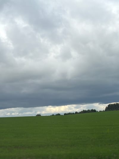 This image presents an outdoor landscape scene, purportedly located in Perevoznoye, Russia. The upper two-thirds of the frame are dominated by a heavily overcast sky. The clouds in the upper portion are diffuse and light to medium grey. Below this, a distinct, broad band of dark grey, heavy clouds stretches horizontally across the mid-section of the image, suggesting a dense cloud cover. A narrow, lighter strip of sky with fragmented clouds is visible just beneath this dark band, near the horizon. The lower third of the image consists of an expansive, undulating green field, likely composed of grass or a similar low-growing crop, extending from the immediate foreground to the distant horizon. Along the distant horizon, a dense line of dark green trees is visible, forming a natural boundary between the field and the sky. A smaller, isolated cluster of trees appears towards the far left of the horizon. No individuals, animals, structures, or man-made objects are present in the scene. There are no observable actions or interactions. Slight horizontal motion blur is evident in the extreme foreground, suggesting the image was captured from a moving perspective.