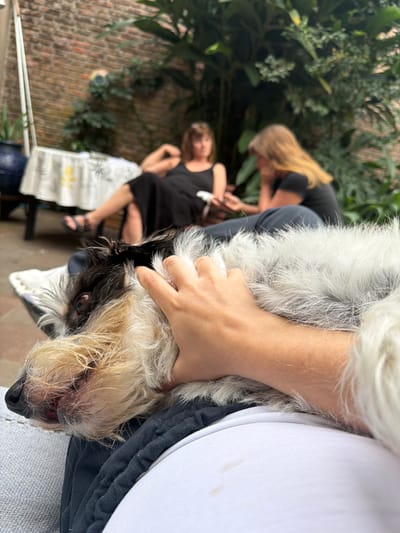 A medium shot captures a dog being held in someone's arms, positioned in the foreground. The dog has a white and black coat, and its face is near the bottom of the frame. A person's hand is visible, holding the dog.
In the background, two people are seated at a table. One person has blonde hair and appears to be bending over, possibly examining something on the table. The other person is seated upright.
The setting seems to be an outdoor patio or garden area. In the background, there are plants and a brick wall. The location is identified as the city of Vicente López, Argentina.