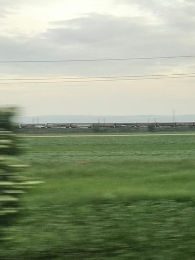 The scene depicts a rural landscape near Schineni, Romania, captured with pronounced horizontal motion blur in the foreground, indicating the image was taken from a rapidly moving vehicle. The upper third of the image features an overcast sky, presenting a uniform pale grey-white with subtle, indistinct cloud formations. Three thin, dark horizontal power lines span across the upper half of the sky.

A distant, low-lying, hazy blue-grey landform, likely hills or mountains, forms a subtle and muted horizon line. In the mid-ground, a long freight train, composed of numerous dark-colored open-top wagons (possibly bulk carriers), extends across the frame. The train appears less blurred than the immediate foreground, suggesting either a stationary position relative to the ground or parallel movement with the camera. A distinct thin, straight yellow line or path runs parallel to the railway tracks in front of the train. Several indistinct vertical utility poles are visible behind and above the train wagons, particularly towards the right side of the frame.

The lower two-thirds of the image consists of expansive green fields, rendered with significant horizontal motion blur, creating streaks and smears of varying green tones. On the far left edge, vertical streaks of green, brown, and light colors indicate blurred vegetation, such as trees or bushes, located very close to the camera's perspective. The overall lighting is soft and diffused, consistent with an overcast day, and no distinct shadows are evident.