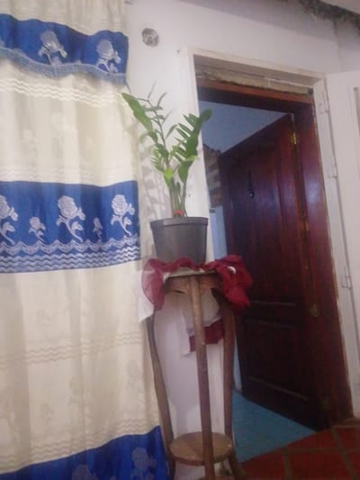 The image depicts an indoor scene, likely a residential interior in Atamo Sur, Venezuela. The foreground features a potted plant on a wooden stand, draped with a dark red fabric. To the left, a curtain with blue and white floral patterns hangs prominently. In the background, a dark wooden door is partially open, revealing a glimpse of another room. The overall lighting suggests it might be daytime, with artificial light contributing to the ambiance. The scene appears to be static, with no individuals or animals actively engaged in any discernible actions. The environment suggests a domestic setting, possibly a living room or hallway.