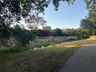 The image depicts a paved pathway alongside a dry creek bed in a park setting. The path runs along the right edge of the frame, transitioning from shade to sunlight. To the left of the path is a slope covered with dry grass, leaves, and patches of bare soil.
The creek bed is filled with vegetation and lined with large white rocks. In the distance, a small, arched pedestrian bridge spans the creek. Beyond the bridge is a retaining wall with lush greenery, including red flowering bushes and a pink flowering tree.
The scene is framed by trees, with branches and leaves overhead, partially obscuring the sky. The overall lighting suggests it is early morning or late afternoon, with soft shadows and warm light.
The location is identifiable as Oak Park, California, USA, based on the distinctive landscape features and the style of the bridge and retaining wall, which are consistent with the area's typical park designs and architecture.