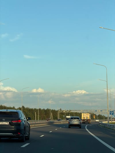 The image depicts a highway scene on a clear day with a blue sky and scattered clouds. Several cars and a truck are visible on the road. The road is paved and has white lane markings. On the right side of the road, there are streetlights and guardrails. Beyond the guardrails, a dense forest of green trees lines the highway. A sign with arrows indicating directions is visible on the right side of the road. The foreground features a black Lexus SUV from the rear. The overall environment suggests a rural or suburban setting outside of a major city. The location is identified as Zimnyaya Gorka, Russia.