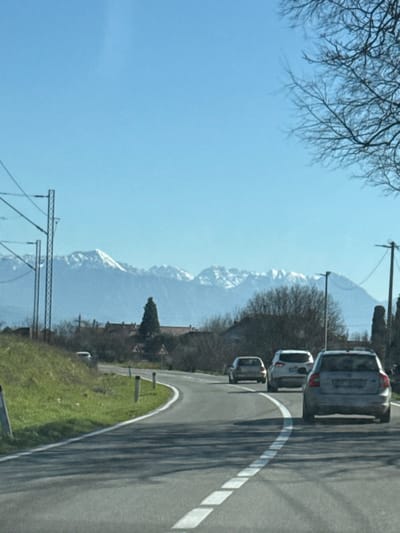 This image depicts a daytime scene in Bistrice, Montenegro, on a clear day with a bright blue sky. A two-lane asphalt road curves gently to the left from the foreground, marked with a solid white line on the right edge and a broken white centerline. Several elongated shadows are cast across the road from the right side.
Three passenger vehicles are visible on the road, receding from the viewer. The closest is a silver/grey Volvo station wagon, followed by a white SUV, and a smaller, light-colored sedan further down the curve. On the left side of the road, a grassy embankment rises, dotted with several white, reflective road markers. A white vehicle is parked or pulled over on this grassy verge further along the curve. Overhead utility lines, supported by multiple metal poles with lattice structures, are visible on the far left.
In the mid-ground, a cluster of houses with terracotta-colored roofs is present, partially obscured by bare deciduous trees and shrubs. A prominent, tall, dark green conical tree stands among these structures. Triangular warning road signs are also partially visible near the houses. On the right side of the road, a street light pole and a utility pole with power lines are present. The upper right corner is partially framed by the bare branches of a deciduous tree.
In the distant background, a range of snow-capped mountains stretches horizontally under the clear blue sky, forming the horizon. No individuals are discernible within the frame.
