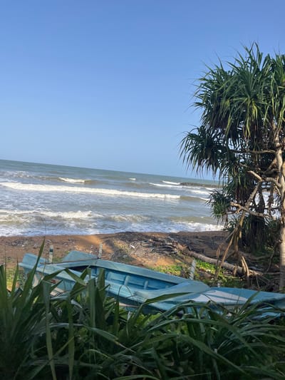 A light blue fishing boat is partially visible on the shore, in front of a calm ocean with gentle waves. A large palm-like tree with spiky leaves stands to the right of the scene, partially obscuring the view of the ocean. The sky is clear and blue, with no clouds visible. The sand on the shore is a mix of light brown and darker, damp sand near the water. There are some dried palm fronds scattered on the sand. The overall scene depicts a serene coastal environment in Katukurunda, Sri Lanka.