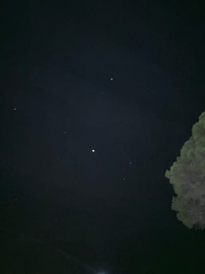 The scene depicts an outdoor night environment in Port Alfred, South Africa. The majority of the frame is occupied by a dark night sky containing approximately eight visible, small, white, luminous orbs of varying intensity; three of these orbs are noticeably brighter than the others. These light sources are distributed across the upper right and central areas of the sky. A section of a tree, displaying green foliage, is visible along the right edge of the frame, originating from the lower right corner and extending upwards. The tree's leaves exhibit some ambient illumination. A faint, diffuse light source is minimally discernible at the bottom center edge of the image. No individuals or specific actions are visible within the frame.