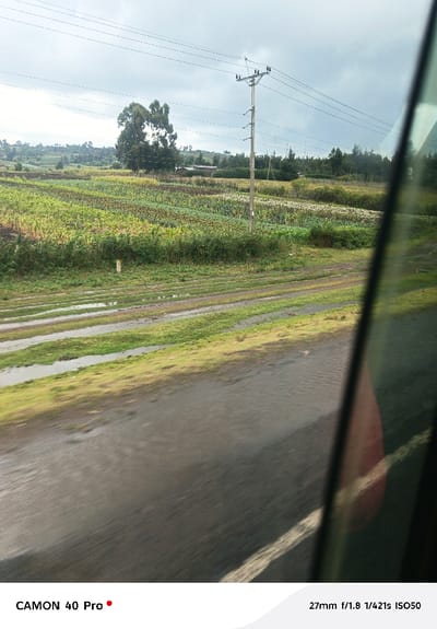 The image captures an outdoor landscape from the perspective of a moving vehicle, evidenced by motion blur on the foreground road and a partial reflection on a dark vertical frame at the right. The immediate foreground features a wet, dark-colored paved surface, possibly a road, with a faint white line visible. To the left, a muddy dirt track with multiple parallel ruts, some containing standing water, runs alongside the paved area. Beyond the track, expansive agricultural fields are visible, showing various rows of green and brown cultivated crops. A white marker post is present within the vegetation between the dirt track and the fields. A utility pole with multiple overhead wires stands prominently in the midground. In the background, rolling hills are covered with further cultivated land, scattered trees, including a large deciduous tree, and several indistinct small structures. The sky is overcast with grey clouds. This scene is situated in the Naivasha East ward, Kenya.