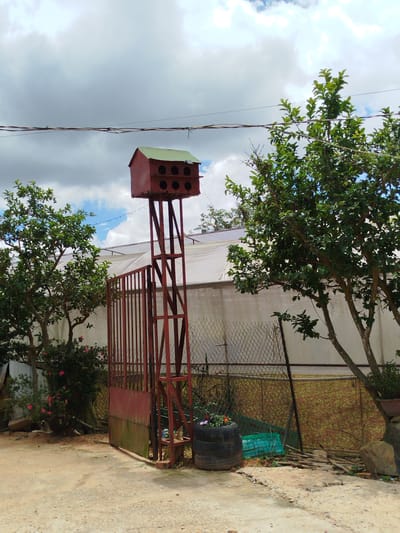 In the city of Cam Ly - Da Lat, Vietnam, a metal birdhouse is mounted on a tall, rusty metal frame. The birdhouse is red with a green roof and has multiple openings. It is situated outdoors, with a red metal gate to its left, behind which a greenhouse-like structure is visible. The area is partially paved with dirt and gravel. Trees with green foliage are present on either side of the birdhouse. The sky above is cloudy. In the foreground, there is a black tire used as a planter, containing small flowers, and to its right, a green plastic crate and a pile of wooden sticks. A chain-link fence runs along the back of the property.