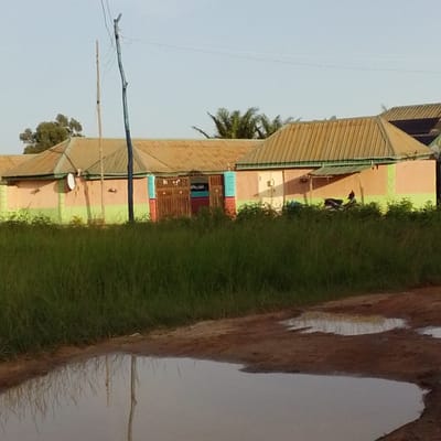 The image depicts a row of buildings with corrugated metal roofs, painted in horizontal bands of orange and light green. The buildings have a series of wooden doors and windows. In front of the buildings, there is a dense growth of tall green grass. A dirt road with several puddles of water is visible in the foreground, reflecting the surrounding environment. A motorcycle is parked behind the grass in front of one of the buildings. A utility pole with wires is situated to the left of the buildings. The sky is clear and light blue. This scene is likely located in Mangu, Nigeria, given the architectural style, vegetation, and general environment.