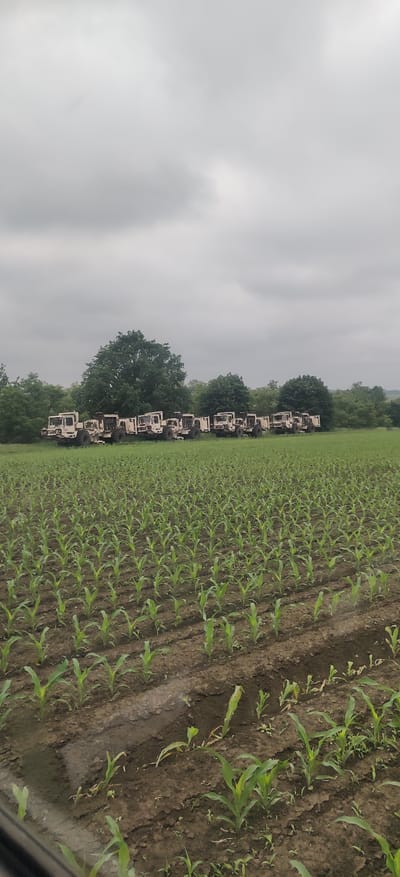 A line of beige, heavy-duty construction vehicles, possibly bulldozers or excavators, are parked on a grassy area at the edge of a field of young corn plants. The vehicles are lined up horizontally across the image, with trees visible behind them. The sky is overcast and grey. The cornfield extends from the bottom of the image towards the vehicles.