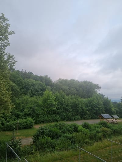 The image depicts a natural landscape with dense green foliage under a cloudy sky. In the foreground, there is a grassy area with a metal railing. A paved path winds through the vegetation. Further into the scene, two wooden picnic shelters with corrugated metal roofs are visible. The background is dominated by a hill covered in trees. The scene is located in Mehltheuer, Germany.
