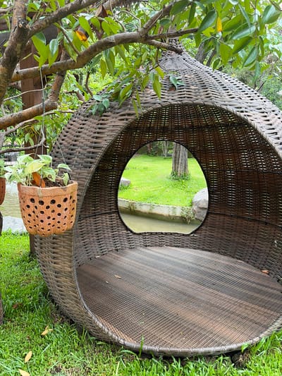 This image depicts a woven outdoor lounge chair in Mae Rim, Thailand. The chair is situated on a lush green lawn, adjacent to a body of water. A hanging planter with a leafy plant is suspended from a tree branch above and to the left of the chair. The chair itself is a large, oval-shaped structure made of dark brown woven material, with an opening in the front revealing a view of a grassy area and a tree. The interior of the chair appears to be a flat seating surface, also made of woven material. The background shows more greenery, suggesting a garden or park setting. There are no people visible in the image.