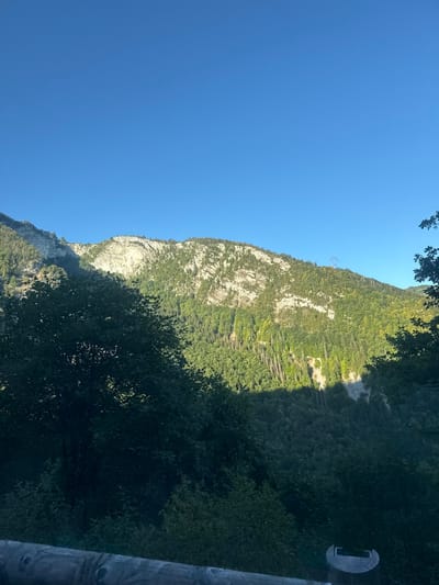A wide shot captures a lush, green mountainside bathed in sunlight, with a clear blue sky above. The mountain is covered in dense forest, with a prominent rocky cliff face visible towards the upper left. The foreground is dominated by dark green foliage and a weathered wooden railing, suggesting a viewpoint or overlook. The scene appears to be set in a natural, mountainous environment, likely the Jura mountains in Septmoncel les Molunes, France, given its characteristic alpine vegetation and topography. No people or specific actions are depicted.