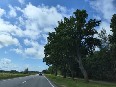 This image depicts a view from a moving vehicle on a paved road in Lāņi, Latvia. The road runs from left to right across the frame, with a single lane of traffic visible. A dark-colored car is traveling away from the viewer on the right side of the road. To the left of the road, a field of green crops stretches towards the horizon. On the right side of the road, a row of mature trees with dense green foliage lines the path, casting shadows on the grassy verge. The sky above is blue with scattered white clouds, suggesting fair weather. The overall scene conveys a sense of travel through a rural Latvian landscape.